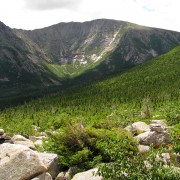 IMG7383.jpg