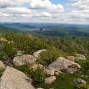 IMG7406.jpg