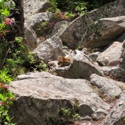 IMG7421.jpg