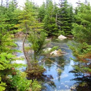 IMG7423.jpg