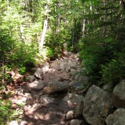 IMG7427.jpg