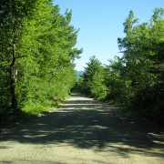 IMG7451.jpg