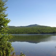IMG7452.jpg