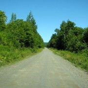 IMG7454.jpg