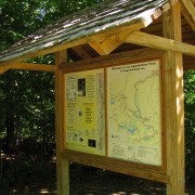 IMG7458.jpg