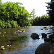 IMG7462.jpg