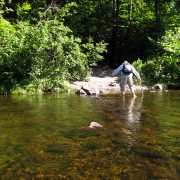 IMG7465.jpg