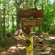 IMG7467.jpg