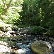 IMG7471.jpg
