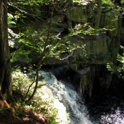 IMG7475.jpg