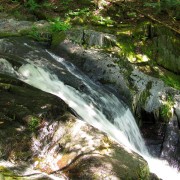 IMG7481.jpg