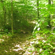 IMG7488.jpg