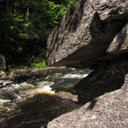 IMG7508.jpg