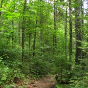 IMG7528.jpg