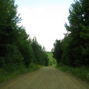 IMG7536.jpg