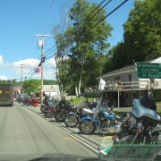 IMG7539.jpg