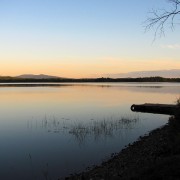 IMG7554.jpg