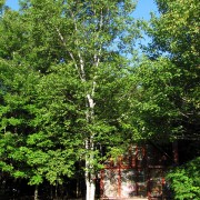 IMG7572.jpg