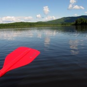 IMG7594.jpg