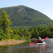 IMG7595.jpg