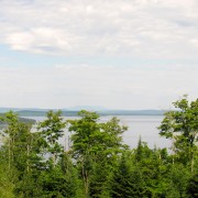 IMG7699.jpg