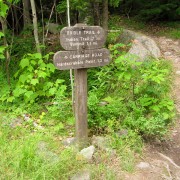 IMG7726.jpg
