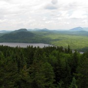 IMG7759.jpg