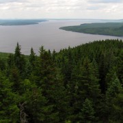 IMG7767.jpg