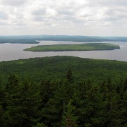 IMG7769.jpg