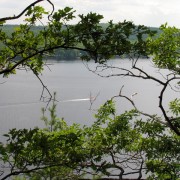 IMG7797.jpg