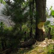 IMG7805.jpg