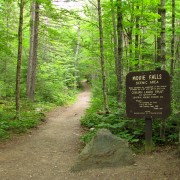 IMG7832.jpg