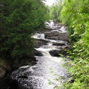 IMG7837.jpg