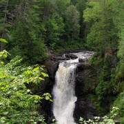 IMG7870.jpg