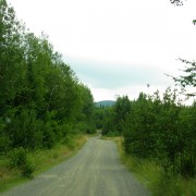 IMG7886.jpg