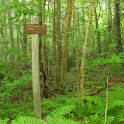 IMG7890.jpg