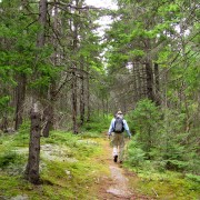 IMG7892.jpg