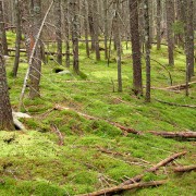 IMG7893.jpg