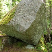 IMG7894.jpg