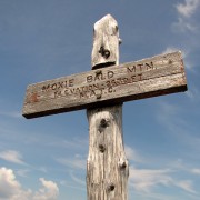 IMG7905.jpg