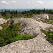 IMG7913-2.jpg