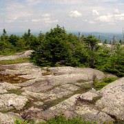 IMG7914-2.jpg