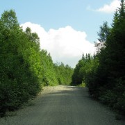 IMG7948.jpg