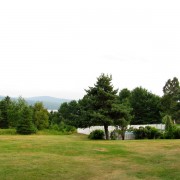 IMG7960.jpg