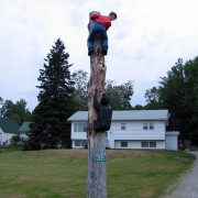 IMG7964.jpg
