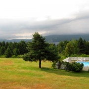 IMG7980.jpg