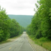 IMG8009.jpg