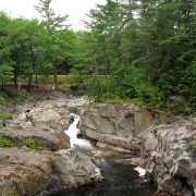 IMG8018.jpg