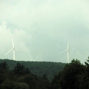 IMG8023.jpg