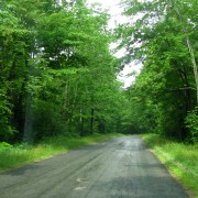 IMG8030.jpg
